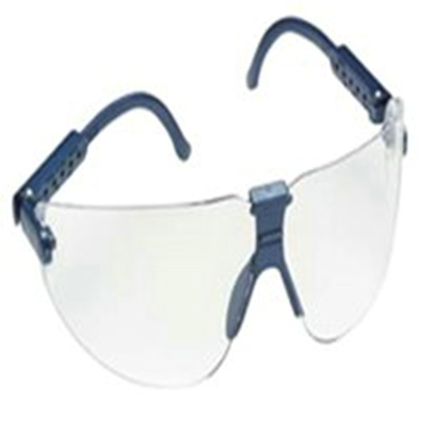 GLASSES,LEXA,BLUE TEMPLES,CLEAR LENS, 10/BX - Clear Lens